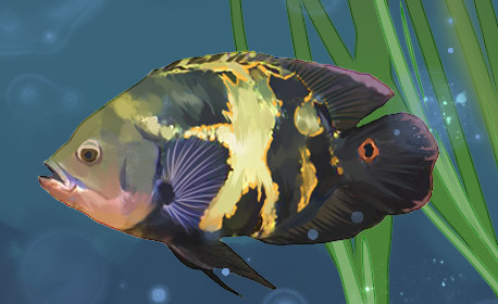 地图鱼不爱游动是怎么回事