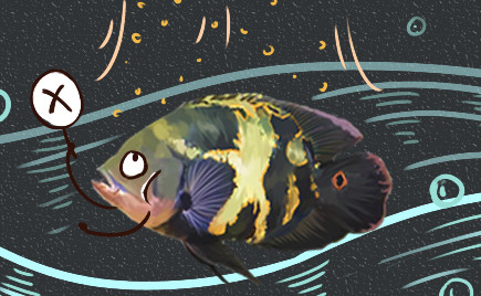 地图鱼没精神不吃东西