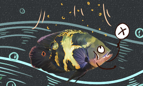 地图鱼被咬伤能痊愈吗