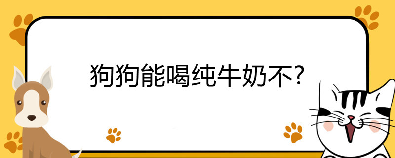 狗狗能喝纯牛奶不
