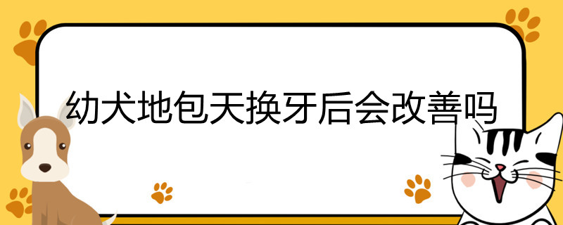 幼犬地包天换牙后会改善吗