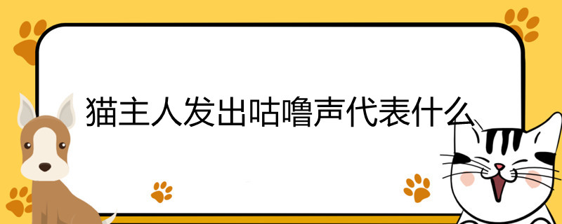 猫主人发出咕噜声代表什么