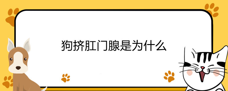 狗挤肛门腺是为什么