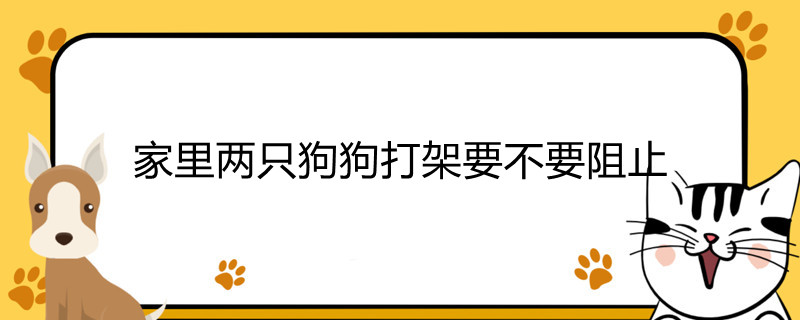 家里两只狗狗打架要不要阻止