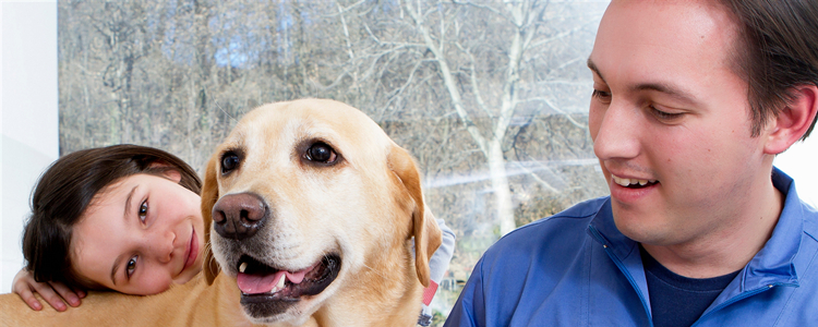 拉布拉多两个月认主人吗