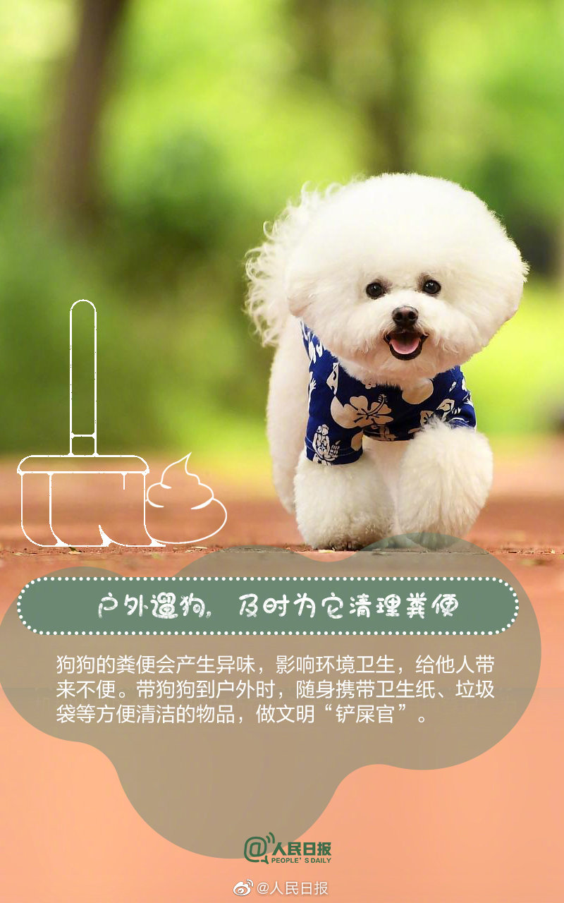 遛狗不牵绳违法即将正式施行 5月1日起遛狗不栓绳将违法