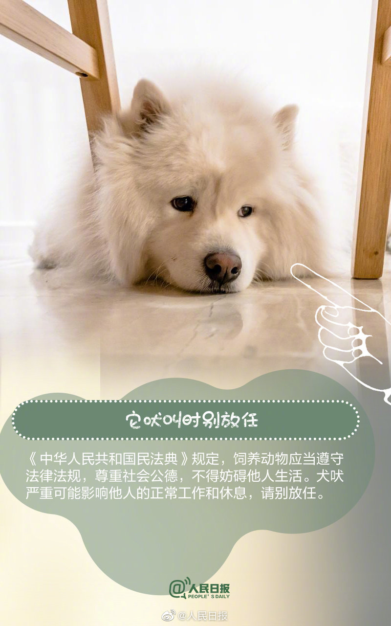 遛狗不牵绳违法即将正式施行 5月1日起遛狗不栓绳将违法