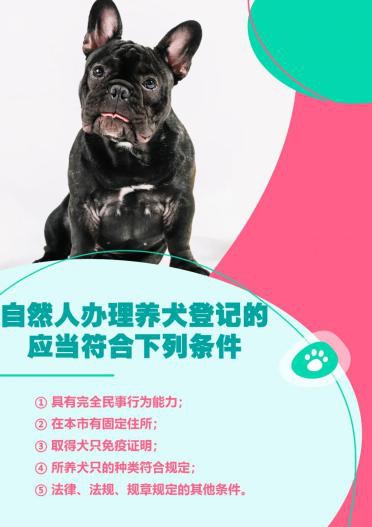 郴州狗证怎么办理 郴州养犬怎么申报
