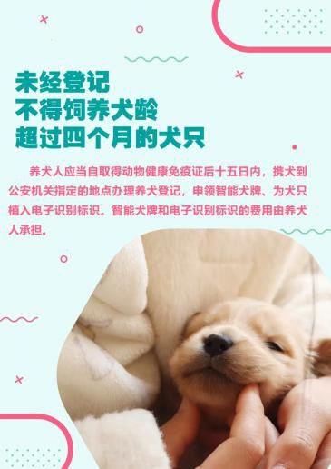 郴州狗证怎么办理 郴州养犬怎么申报