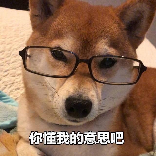 你家的狗狗“狗仗人势”吗？