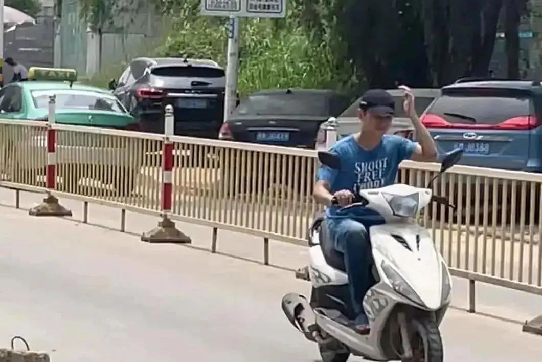 “狗狗被当街抢走的第二天，我找到了只剩一半的它……”