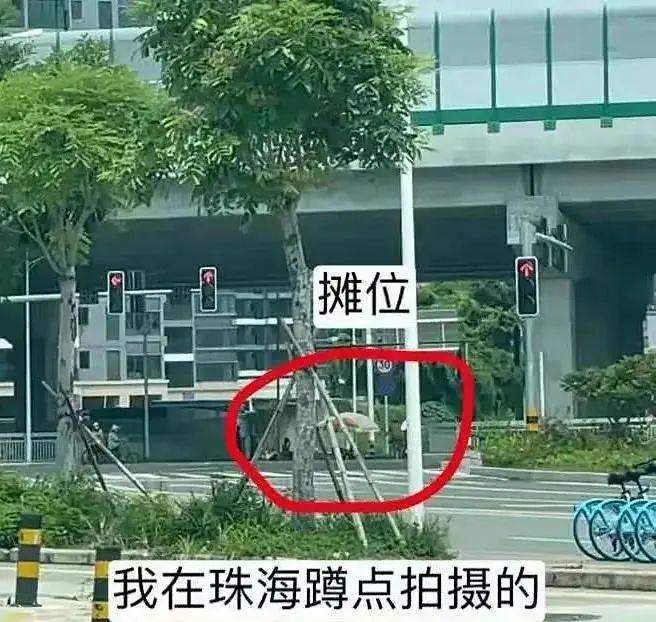 “狗狗被当街抢走的第二天，我找到了只剩一半的它……”