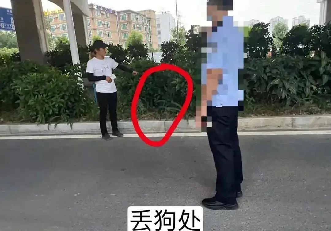 “狗狗被当街抢走的第二天，我找到了只剩一半的它……”