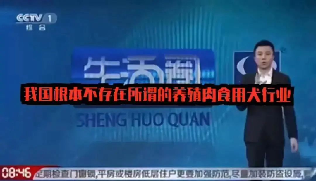 “狗狗被当街抢走的第二天，我找到了只剩一半的它……”