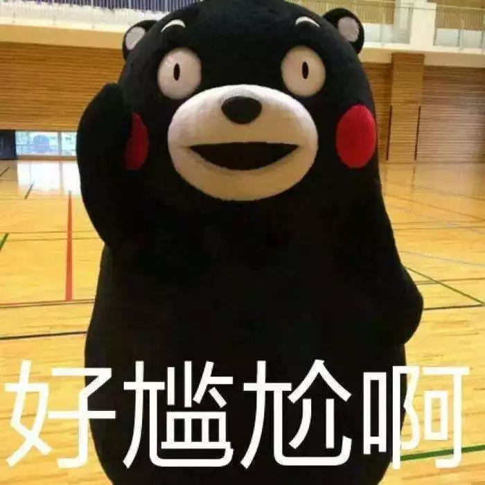 驱蚊产品让猫狗折寿？