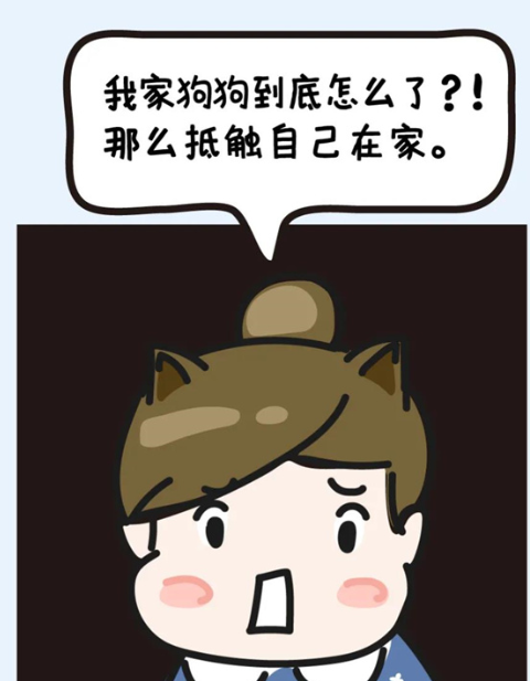 狗狗独自在家，就会焦躁不安？小心它得了“精神病”！