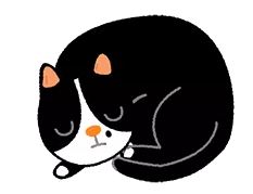 从猫的睡姿~看它对你的信任有几分?