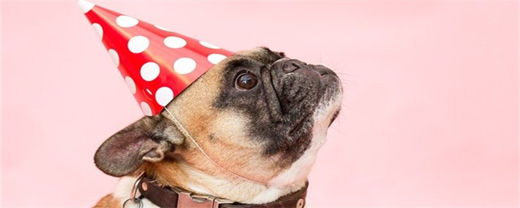 狗怕打雷是因为什么