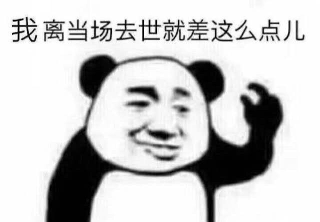 宠物那些大型社死瞬间，连夜买票逃离地球吧！