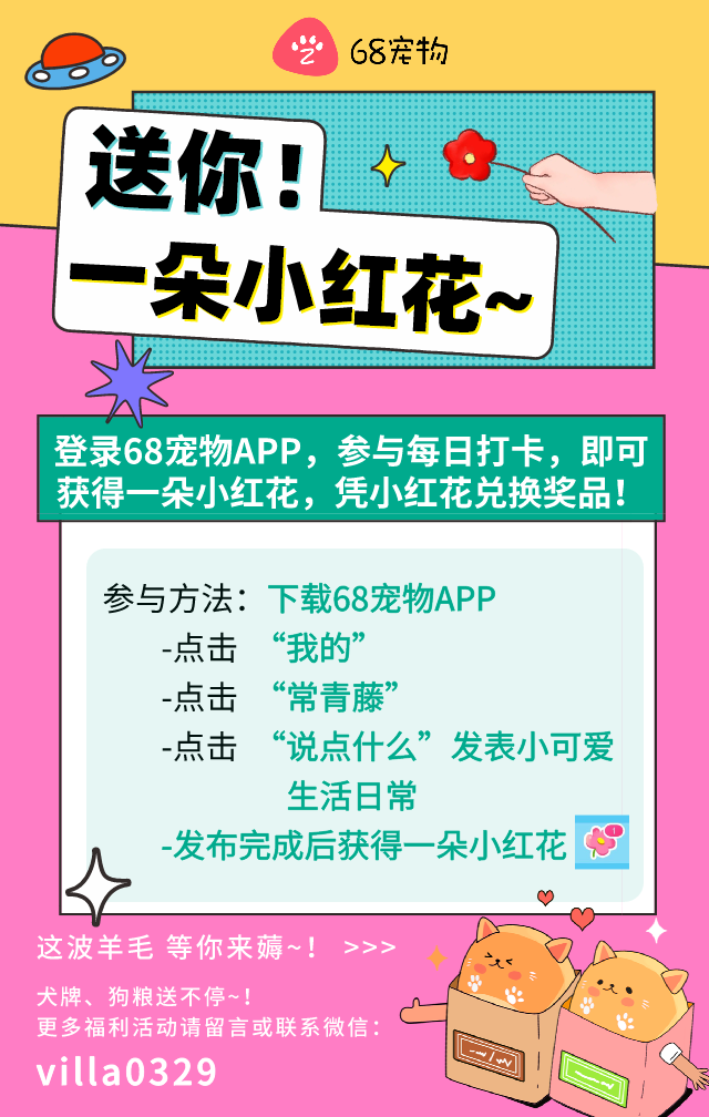 你的疫苗打错啦 关于狗狗疫苗的五大谣言