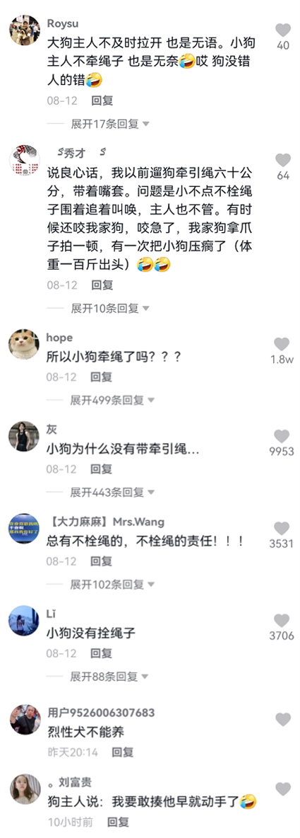 山东青岛烈性犬紧咬小狗不松口，主人手目睹宠物丧命