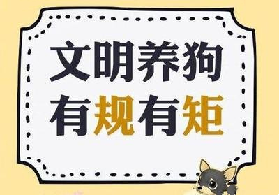 山东青岛烈性犬紧咬小狗不松口,主人手目睹宠物丧命