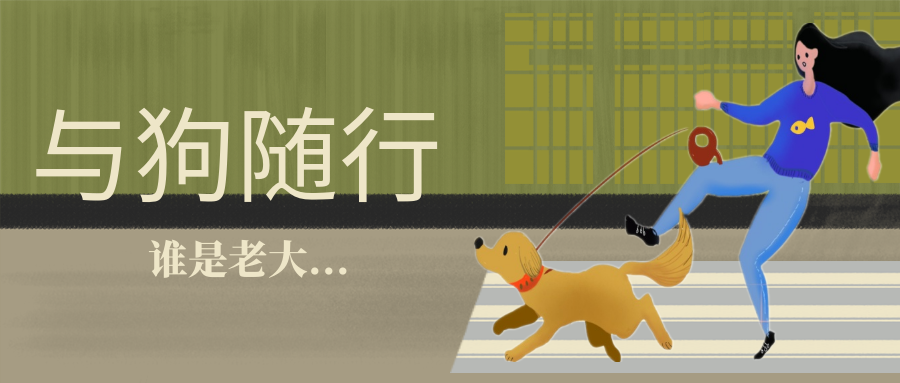 教师节献礼！宠物课已上线，别错过精彩！