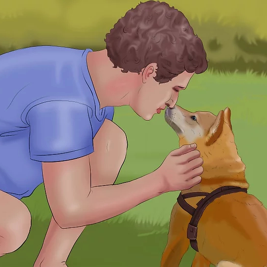 教师节献礼！宠物课已上线，别错过精彩！