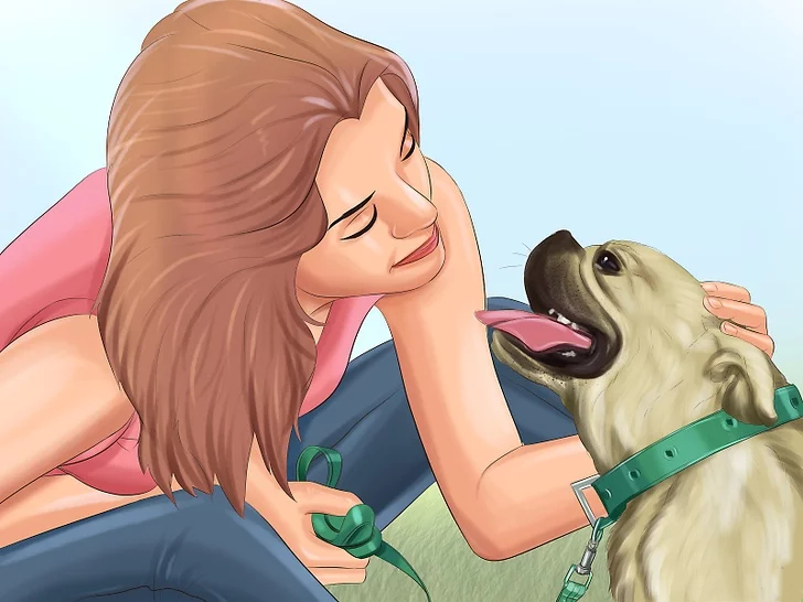 教师节献礼！宠物课已上线，别错过精彩！