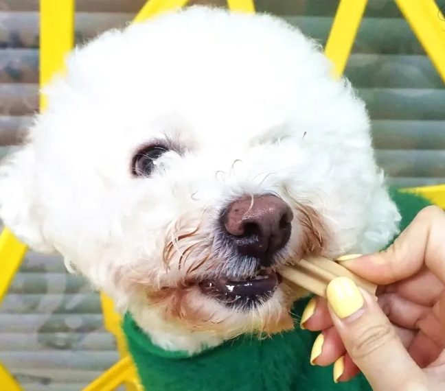 狗狗洁齿棒良心测评，快来避雷！