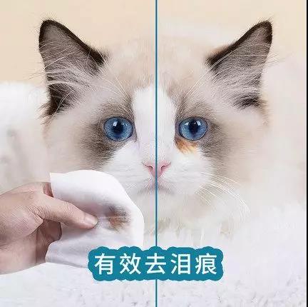 宠物湿巾竟能擦掉泪痕？背后的真相竟然是...