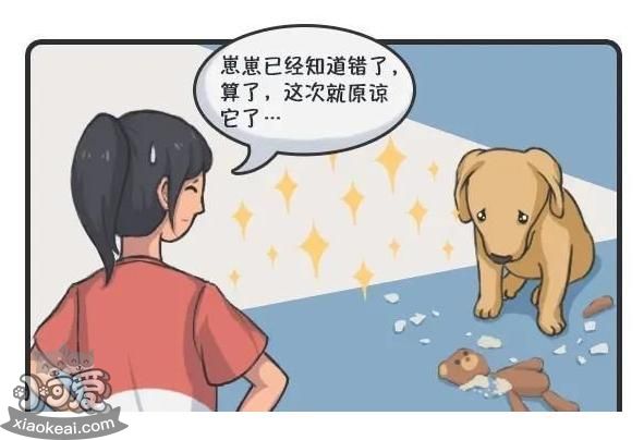 狗狗犯错后“装可怜”，真的知道错了吗？
