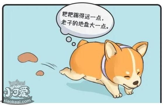 狗狗犯错后“装可怜”，真的知道错了吗？
