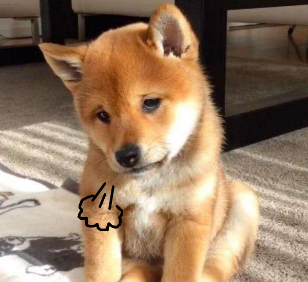 狗狗为什么老叹气呢?难道我亏待它了?