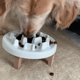 狗狗吃饭太快被噎到？挑食挑到愁死人？神器来了