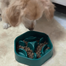 狗狗吃饭太快被噎到？挑食挑到愁死人？神器来了