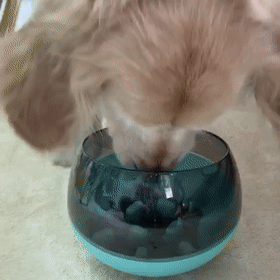 狗狗吃饭太快被噎到？挑食挑到愁死人？神器来了