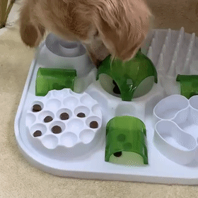 狗狗吃饭太快被噎到？挑食挑到愁死人？神器来了