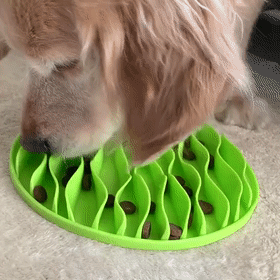 狗狗吃饭太快被噎到？挑食挑到愁死人？神器来了