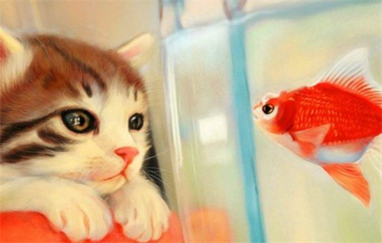 猫吃鱼会被鱼刺卡吗