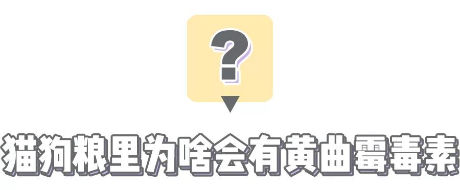 猫狗粮有没有“毒”，一张18元的测试卡就能立刻测出来？