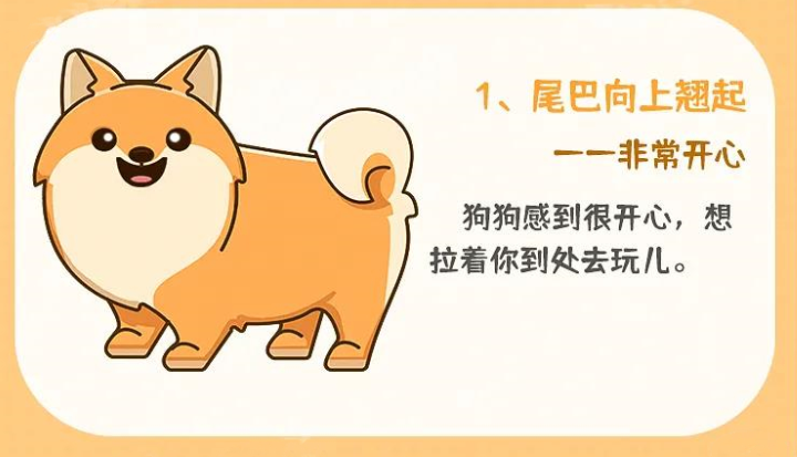 超详细解读狗狗尾巴的8种含义，教你看懂狗狗的情绪！