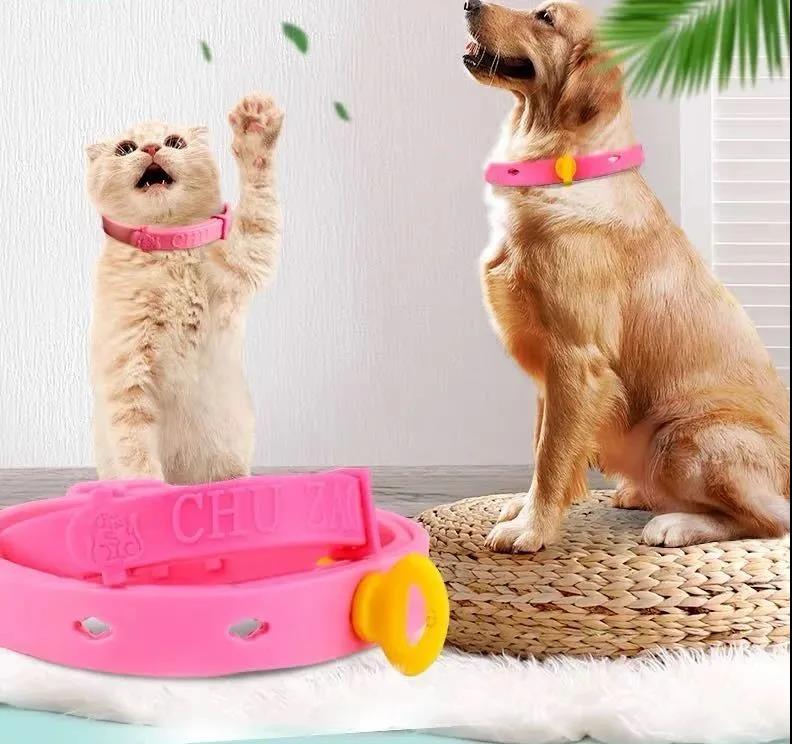 双十一别当冤大头！这些宠物用品根本不用买！