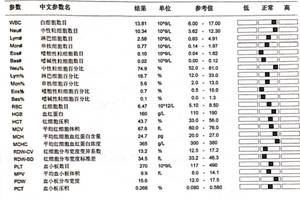 猫狗体检省钱攻略，铲屎官值得拥有！