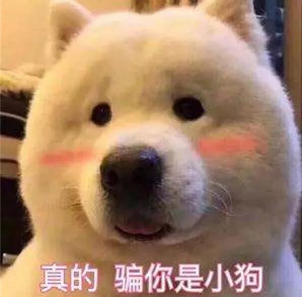 养狗人最害怕的动作，看完窒息！