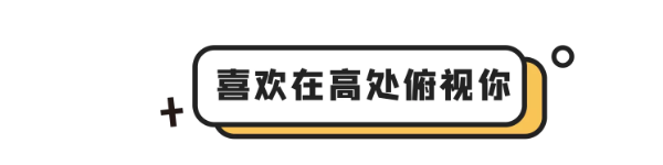 猫有这4种行为，说明它已经不把你放在眼里了