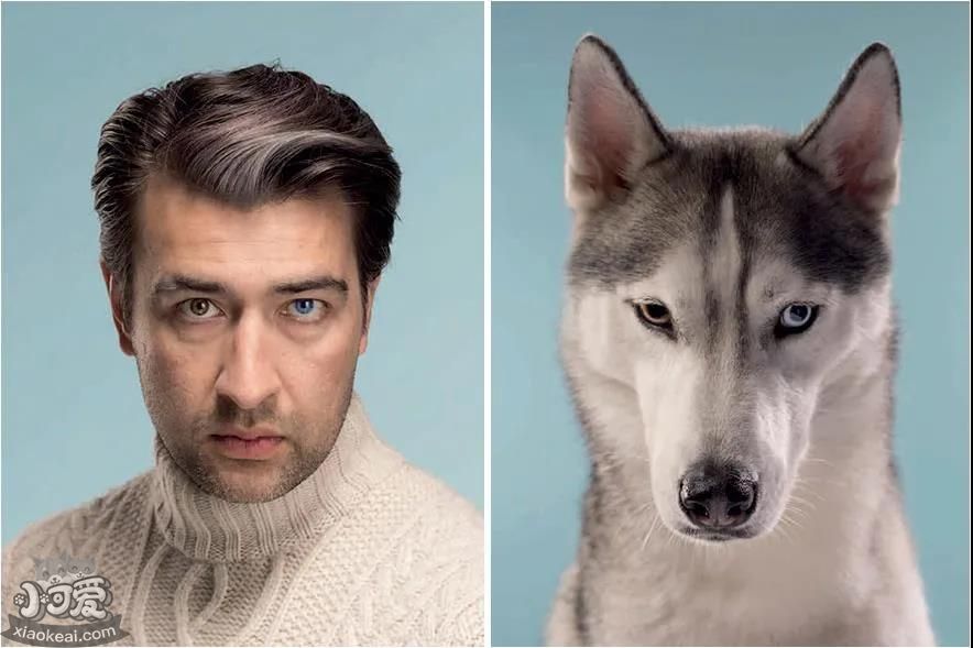 都说宠物像主人，这背后是有道理的？