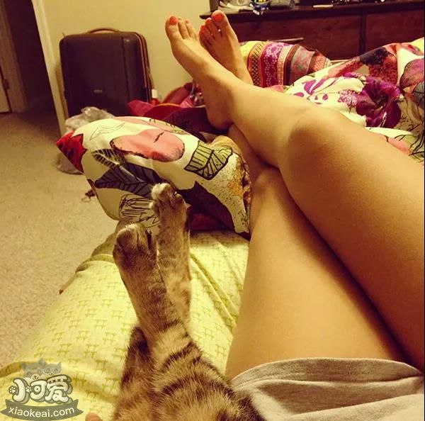 都说宠物像主人，这背后是有道理的？