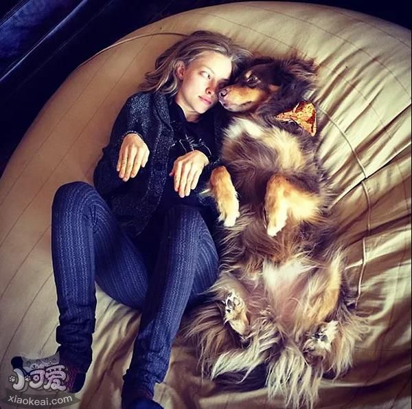 都说宠物像主人，这背后是有道理的？