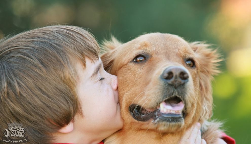 都说宠物像主人，这背后是有道理的？